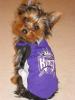 Aggie has joined the NBA!!-img_3738.jpg