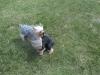 Katie and daughter playing on a windy day-katie-cuddles-small-.jpg