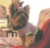Here's KimMee hopping around the house-kimmee-easter-002.jpg