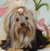 Some Easter shots of Sophie-album-8-182cr.jpg