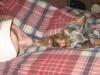 My sleeping beauty's!-naptime-004.jpg