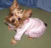 Chloe is ready for bed in her new nightgown-chloenightie.jpg