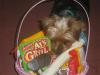 The Easter Bunny Came to My house!!-easter-2006-012.jpg