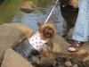 Day at the park...-bonnie-2.jpg