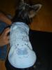 Tinkerbell loves her new dress:)New Pictures.-picture-074.jpg