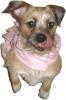 Let's see your tongue pictures!-dsc016392.jpg