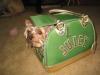 post your yorkies info!-alex_bag2.jpg