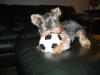 The Official YT Soccer Team!-img_1074.jpg