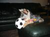 The Official YT Soccer Team!-img_1077.jpg