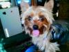 Let's see your tongue pictures!-picture010.jpg