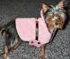 Lexi the Ragamuffin-lexis-pink-coat.jpg