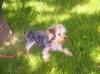 Oliver's day at play! YEAH FOR SUNSHINE!-ollieoutsdie2.jpg
