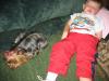 Dreama the baby guard!  (Cute pics! Gotta love little kids and yorkies!)-img_0850.jpg