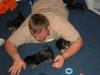 more  pictures from daisy and dukes puppies morkies-2006_0430image0193.jpg