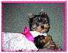 Sienna in her first dress-sienna-dress-2.jpg