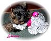 Sienna in her first dress-sienna-dress2.jpg