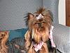 Myra in her new hairclip-myraprincess.jpg