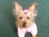 Zoey-may14_002.jpg