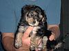 We Are 6 Weeks Old-2006_0509image0123.jpg