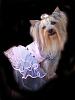 Looking FuFu in my TuTu-100_1026.jpg