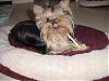 Let's see your tongue pictures!-4-220-067.jpg