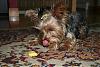 Let's see your tongue pictures!-ytexchange-156-medium-.jpg