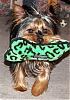 Marty's New Toy...-marty-green-bone-011.jpg