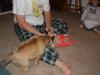 Sandy's first Christmas-06.jpg