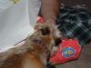 Sandy's first Christmas-07.jpg