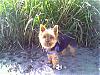 My New Son.-buster-beach-grass.jpg