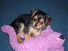 We Are Almost 8 Weeks Old-2006_0518image0115.jpg