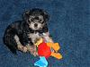 We Are Almost 8 Weeks Old-2006_0518image0116.jpg