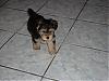 We Are Almost 8 Weeks Old-2006_0518image0118.jpg