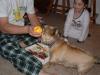 Sandy's first Christmas-08.jpg