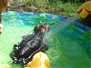Ruby Cupcake's First Pool Day!-dsc03369.jpg