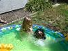 Ruby Cupcake's First Pool Day!-dsc03375.jpg