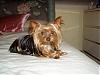 Then and Now-louie-sweet-bed-400-x-300-.jpg