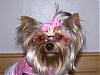 Gotta wear shades-lexi-tori-008.jpg