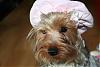 Show us your Hats ,doggles or anything funky-mininew-023-medium-.jpg