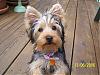 Ramsey is growing up-ramsey-baby-pics-others-025.jpg