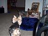 Smackdown: Simon VS Hallie-100_2287.jpg