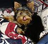 Let's see your tongue pictures!-jill062006-012.jpg