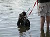 Learning to Swim at Lake Starring-chewy-libby-starring-lake-mn-028-large-.jpg