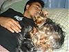 #1 Yorkie Dad (in my house)....-arambula-pictures-145-640-x-480-.jpg