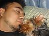#1 Yorkie Dad (in my house)....-arambula-pictures-130-640-x-480-.jpg