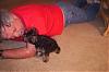 Let's show all our Yorkie Daddy pics-puppy-049-1.jpg