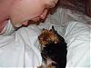 Let's show all our Yorkie Daddy pics-phoebe-mike-004sm.jpg