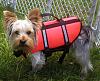 Google's new life vest!-googlelivest2.jpg