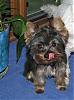 Let's see your tongue pictures!-tongue.jpeg