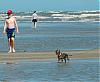 We're back from vacation with just a few pics of Ginger on the beach!-beach-2006-464.jpg